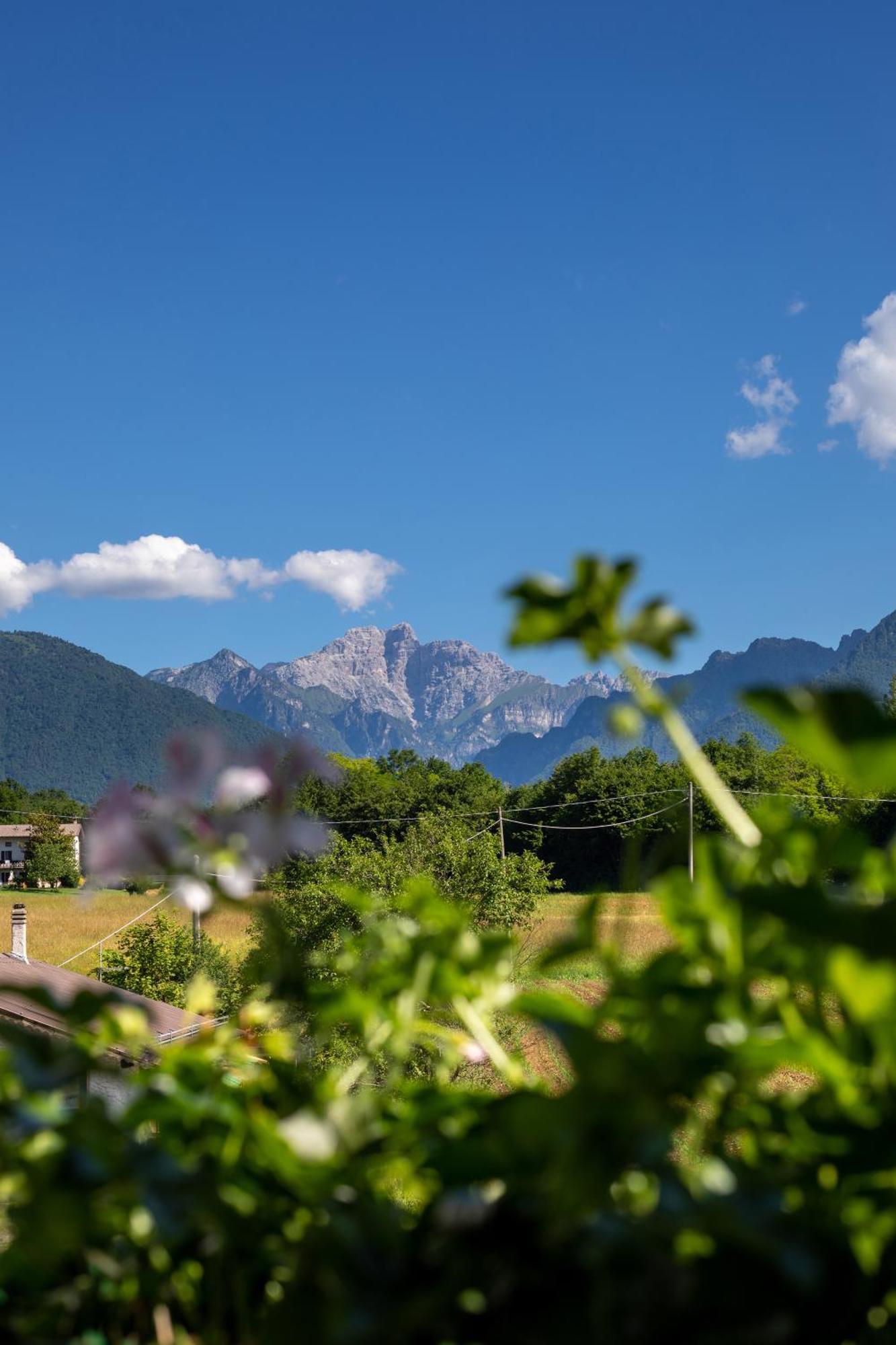 Hotel Ristorante Sagittario Feltre Exterior photo